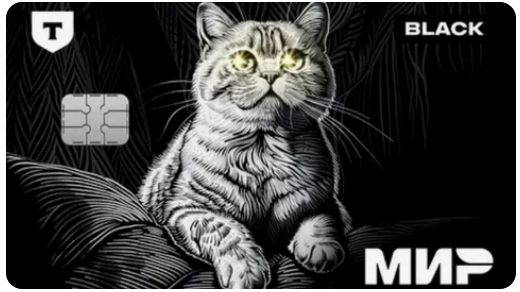 Дизайн карты Black с котом со светящимися глазами